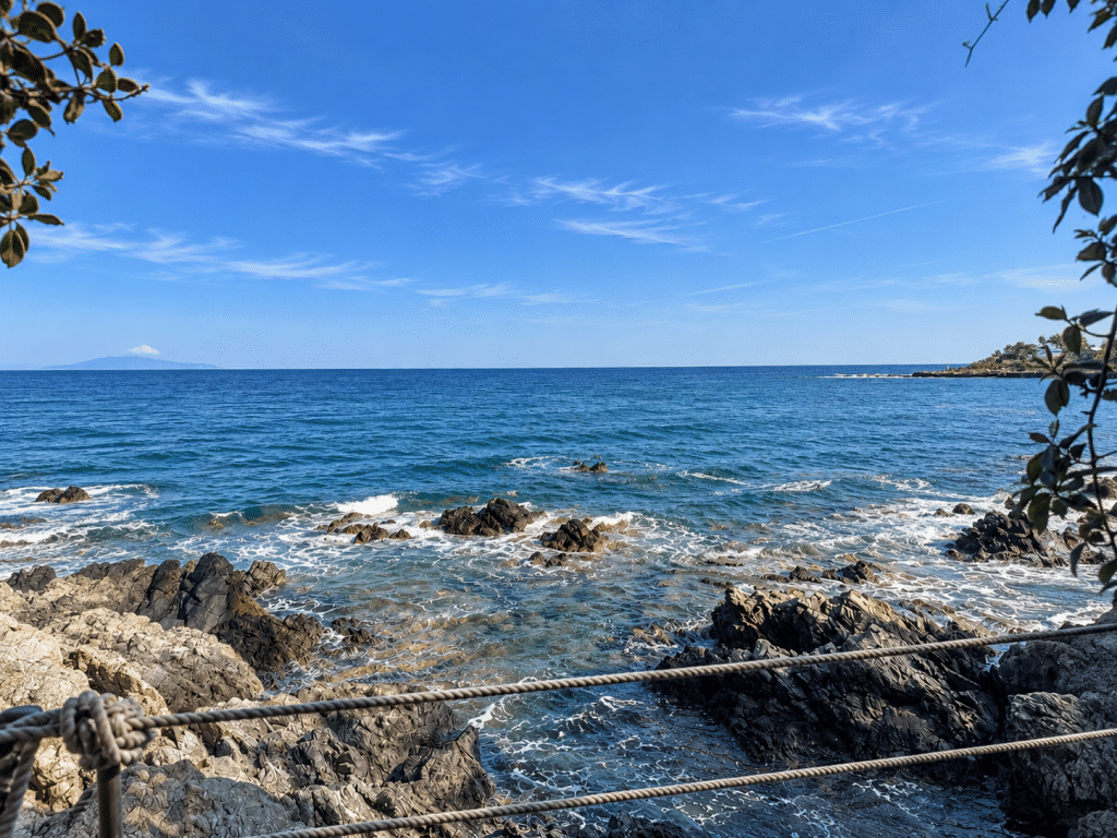 345B653D-F359-4606-8131-9AC3D43DBD46